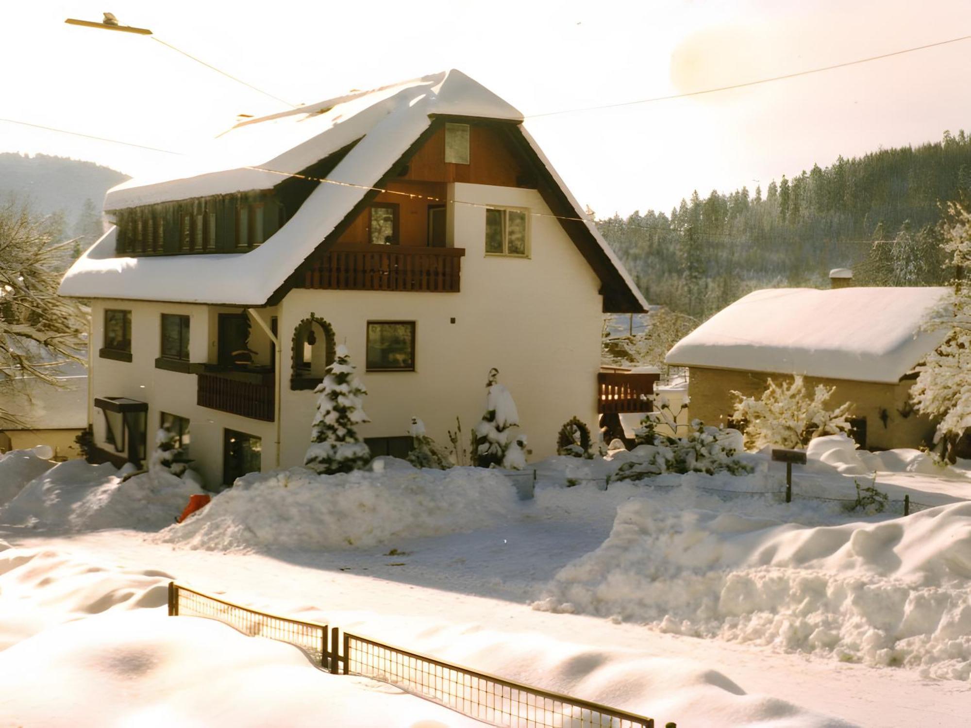 Haus Muehlgrund Apartment Bad Wildbad Exterior photo