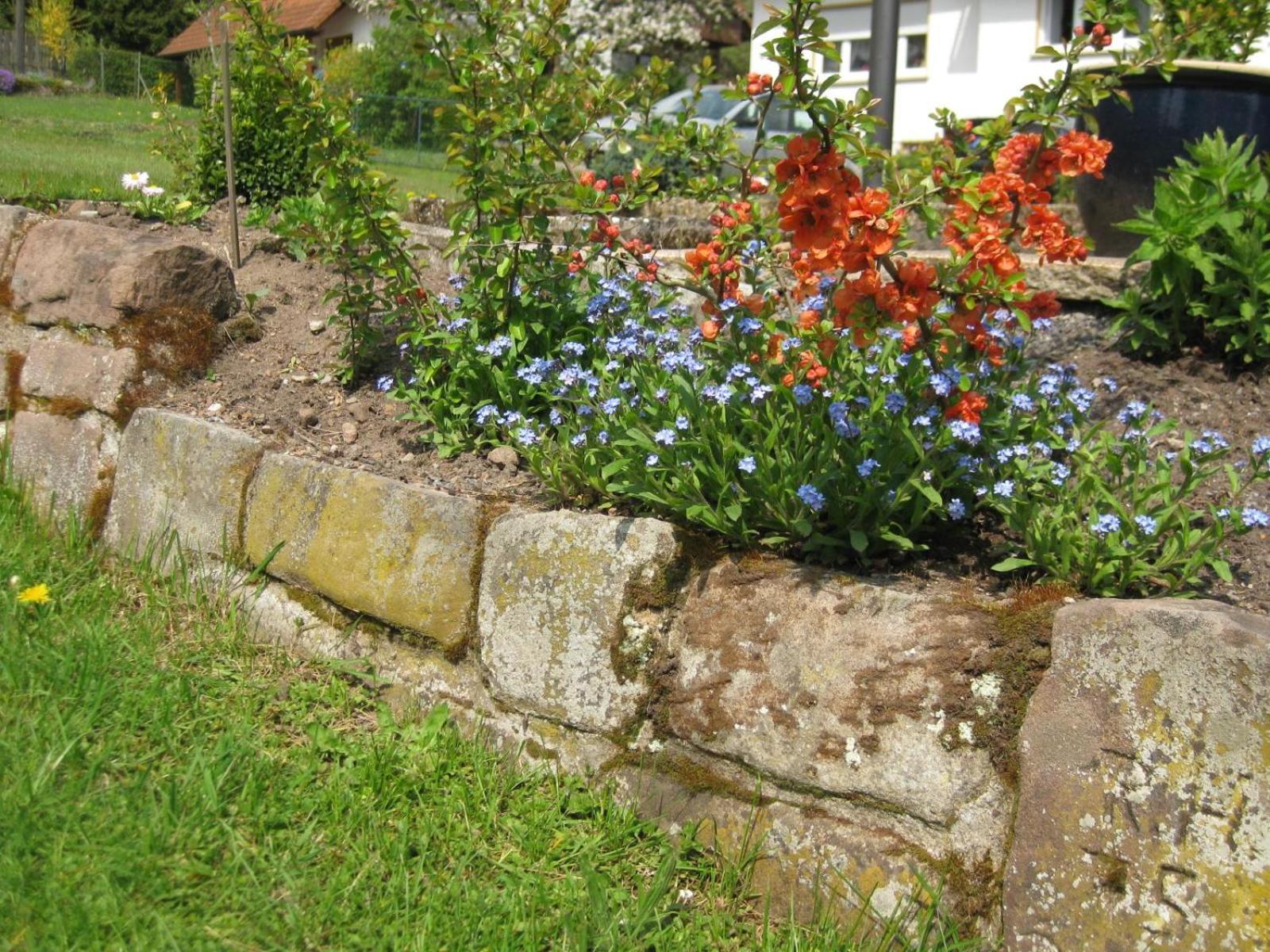 Haus Muehlgrund Apartment Bad Wildbad Exterior photo